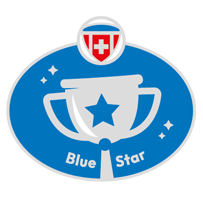 Level Blue Star-Pin
